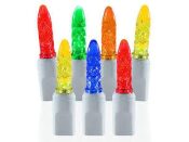 LED Wire Frame Silhouette Light Strings